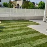 Grass Cutting